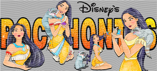 16oz Disney-D 3509